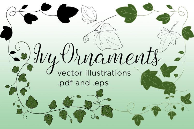 Ivy Vector Illustrations example image 1
