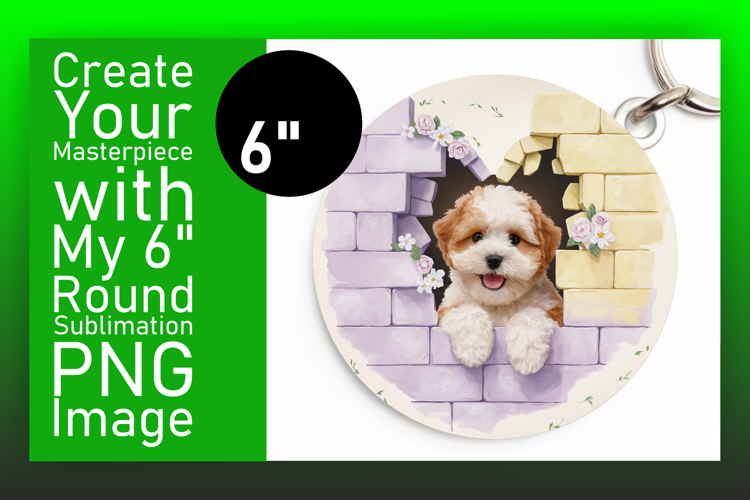 Circle Png Image 22