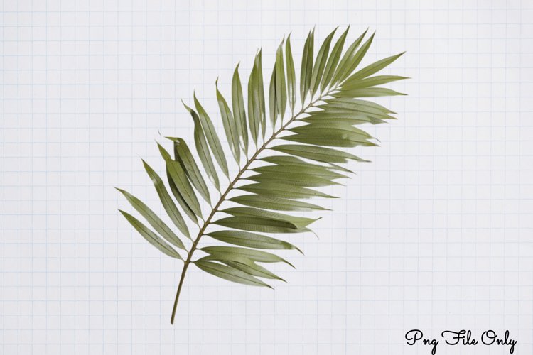 Bible Clipart Image 15