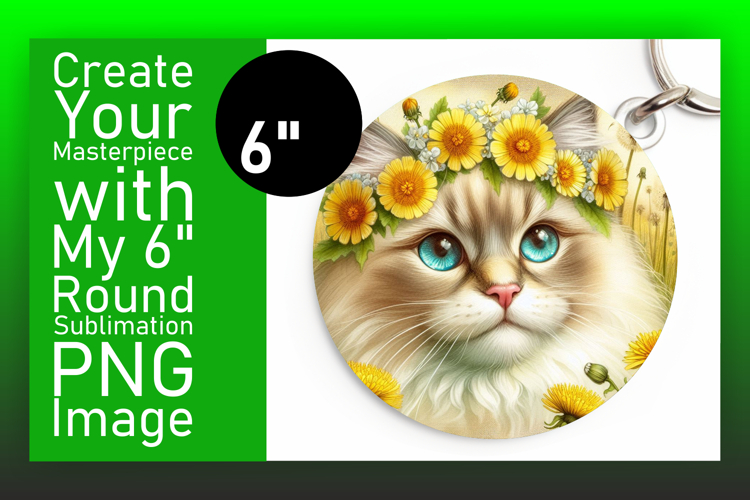 Cute Cat Png Image 21