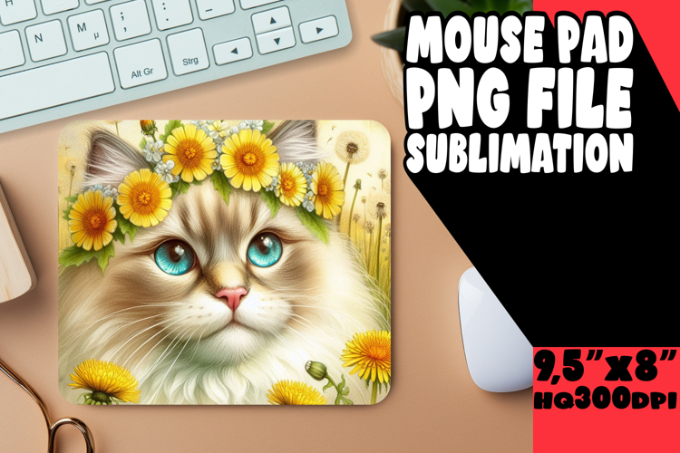 Cute Cat Png Image 20