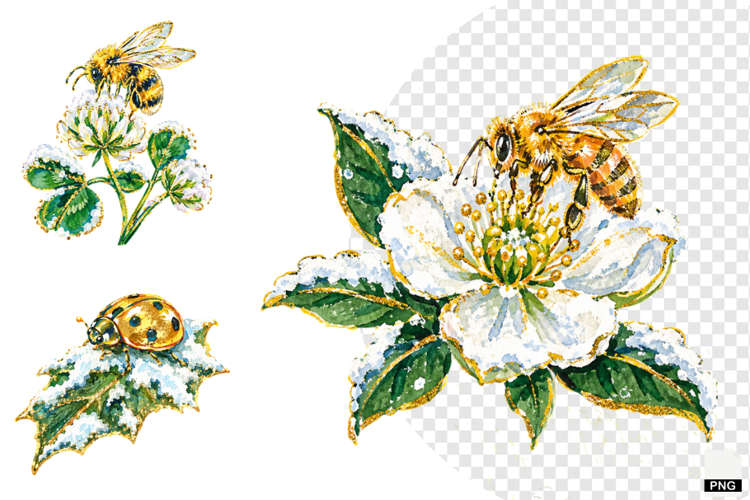 Winter Insect Garden Clipart