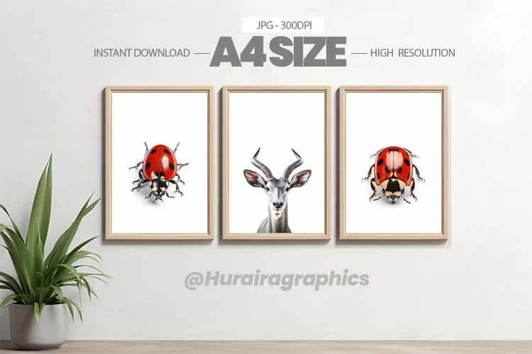Animal Wall Art - 03 Variations