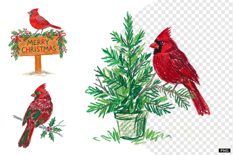Christmas Cardinal Garden Clipart