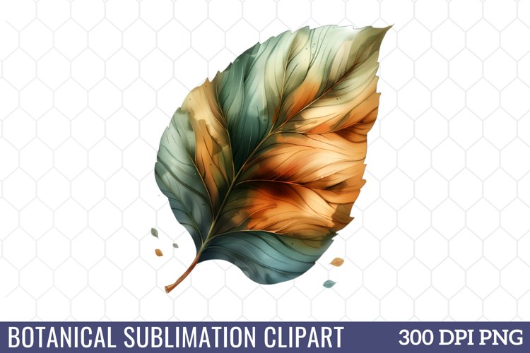 Botanical Sublimation Clipart