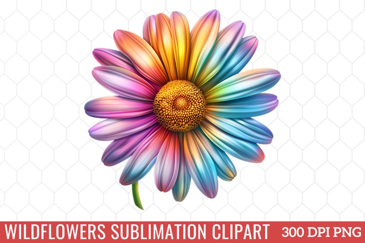 Spring Clipart Image 13