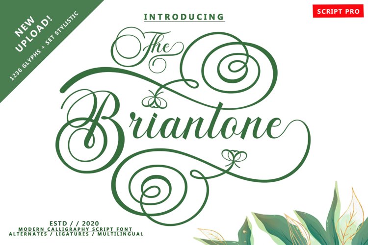 Briantone Script Pro example image 1