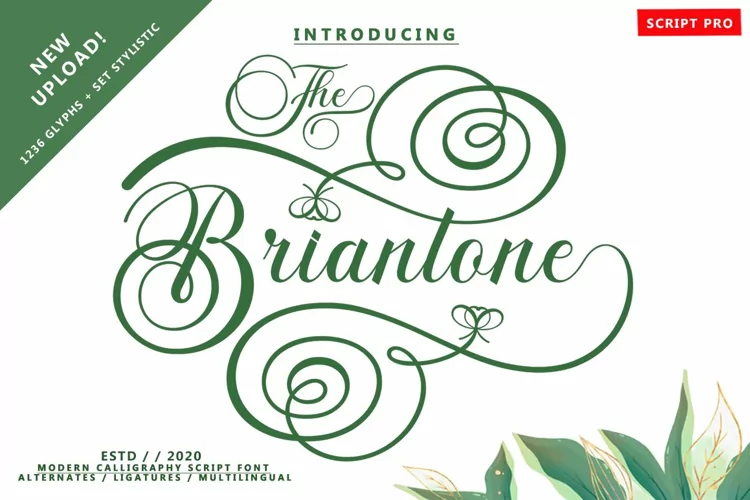 Briantone Script Pro
