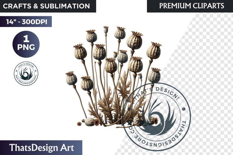 Medicinal Herbs clipart PNG, Apothecary Botanical Graphic