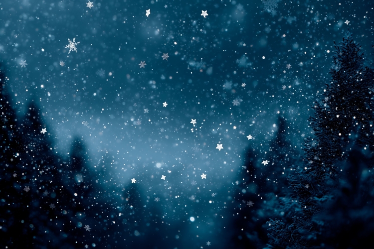 Blue Background Design, Winter Forest Background Mockup