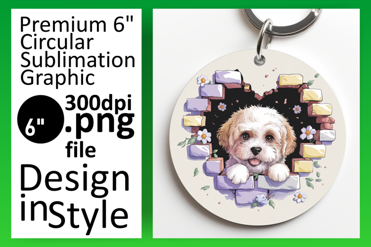 Circle Png Image 6