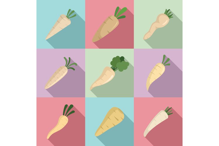 Carrot Icon Image 9