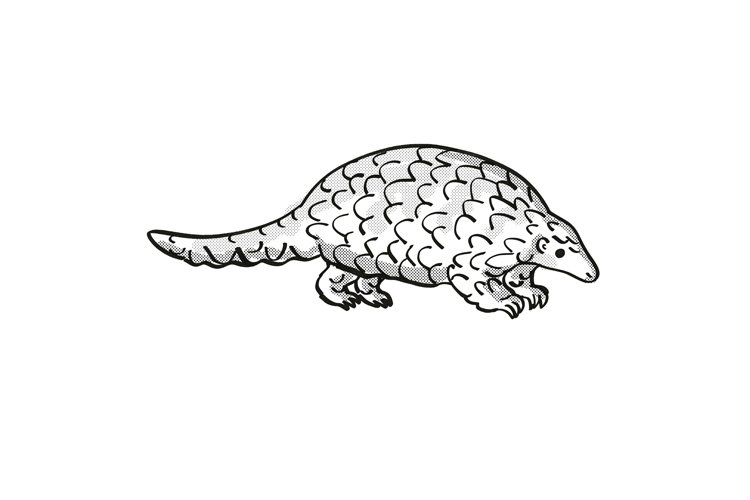 Black And White Animal Clipart Image 14
