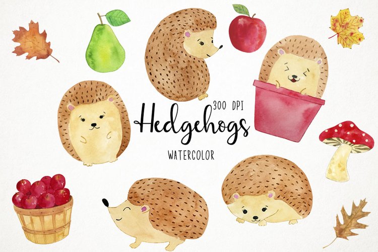 Hedgehog Clipart, Hedgehog Clip Art, Hedgehog Illustration example image 1