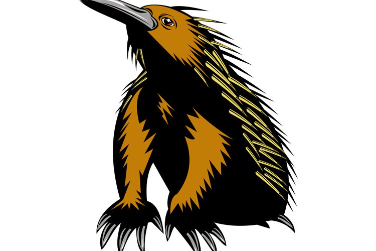 Anteater Clipart Image 16