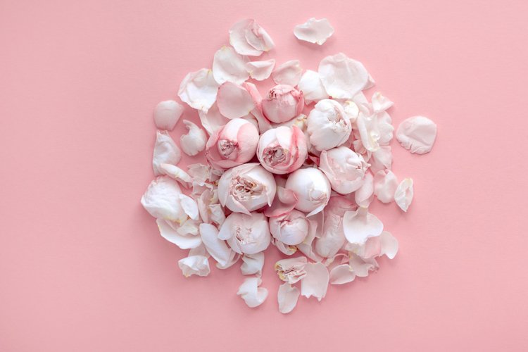 Pink Background Image 5