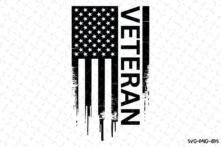 Veteran Silhouette Image 17