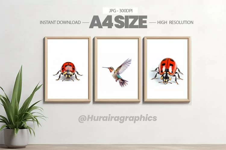 Animal Wall Art - 03 Variations