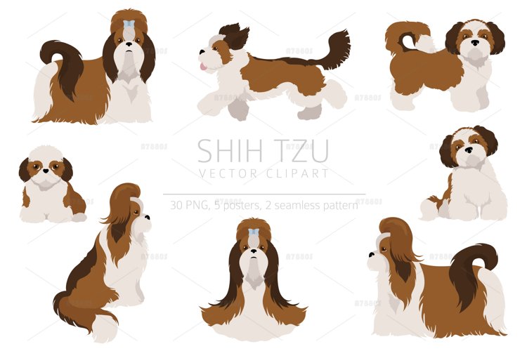 Shih Tzu clipart (1273279) | Illustrations | Design Bundles