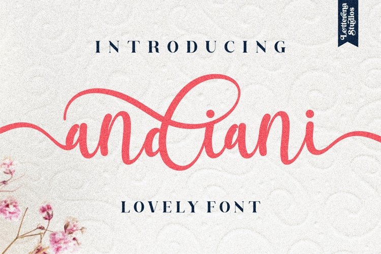 andiani - Beautiful Script Font example image 1