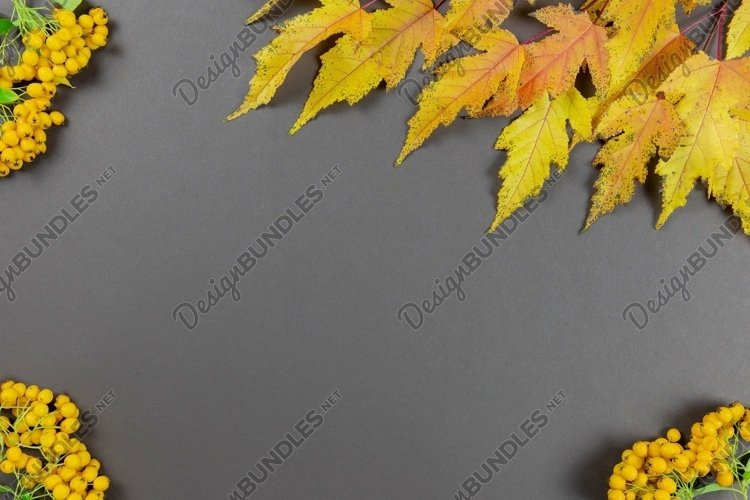 Autumn Clipart Image 17