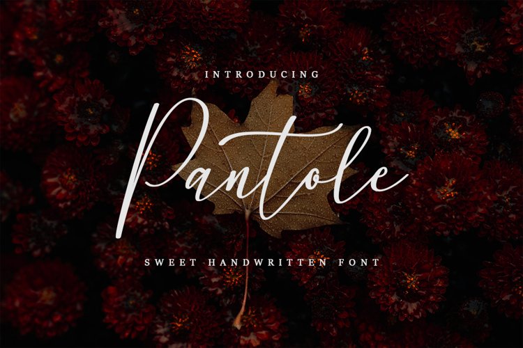Pantole - Sweet Handwritten Font example image 1