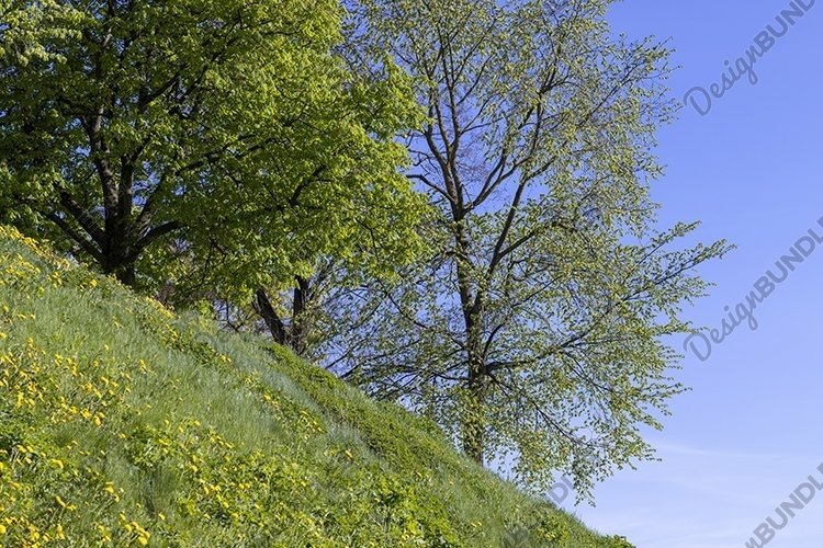 Spring Clipart Image 13