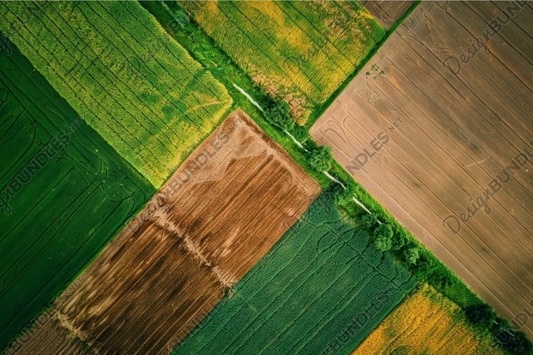 Aerial view of colorful agricultural fields example image 1