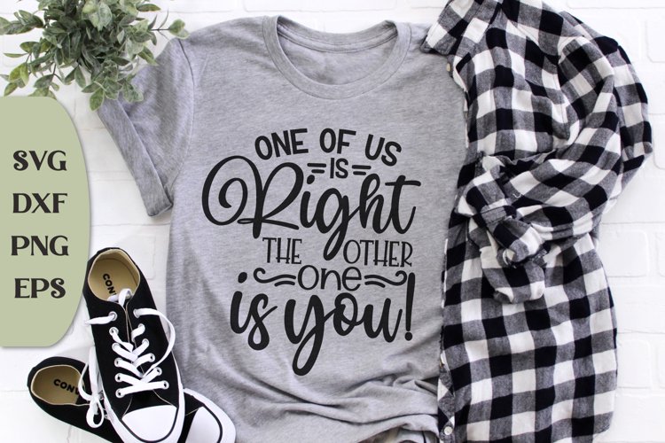 One Of Us Is Right The Other One Is You, Sarcasm Svg example image 1