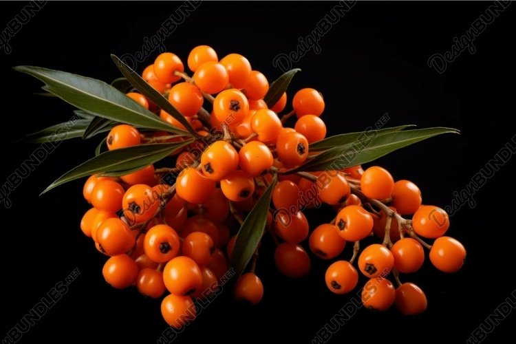 Orange Background Image 12