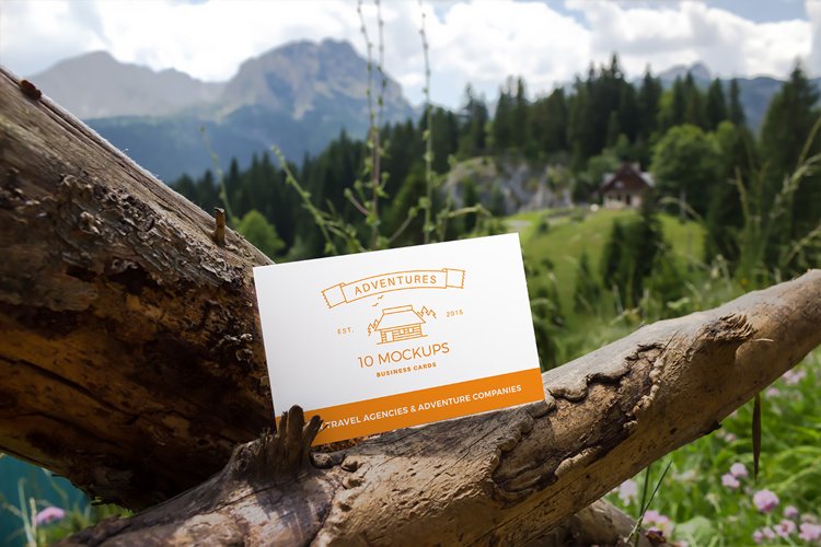 Business cards mockup 05| Travel Mockup Collection Set 1 example image 1