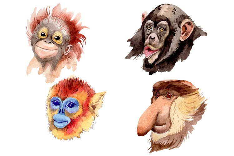 Primates Watercolor png example image 1
