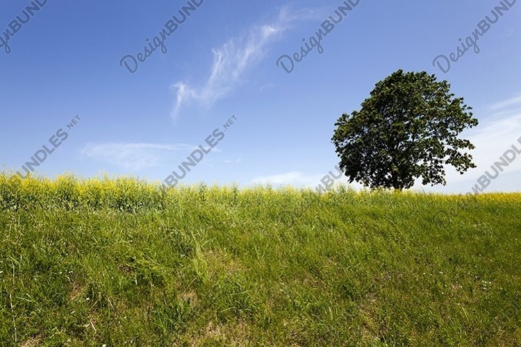 Land Clipart Image 5