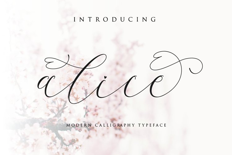alice script example image 1