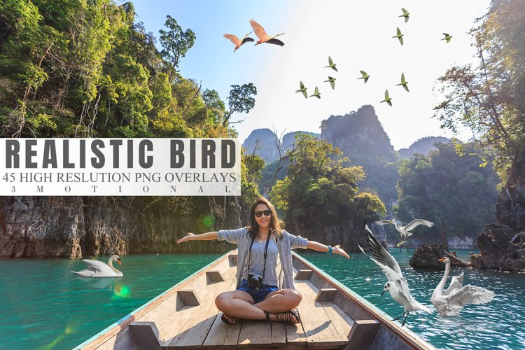 45 Realistic Bird Overlays example image 1