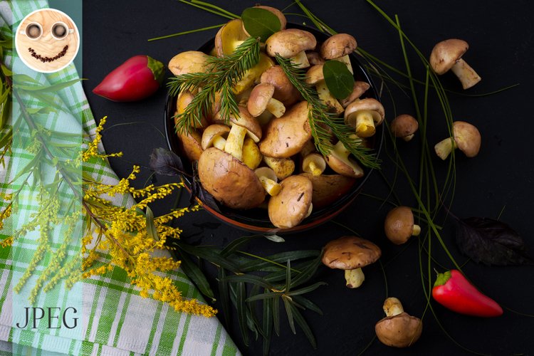 Forest picking mushrooms and yellow wild grass, top view