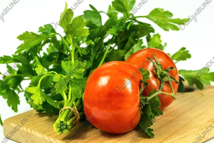 Freshly picked natural organic vegetables