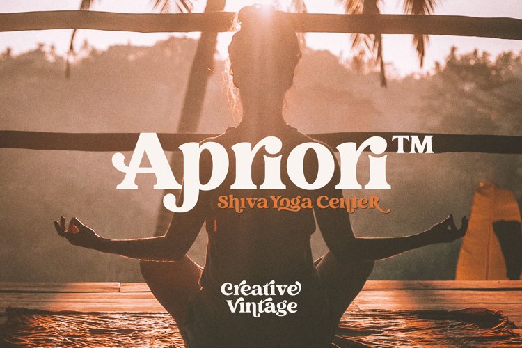 Creative Vintage Serif & Script fonts