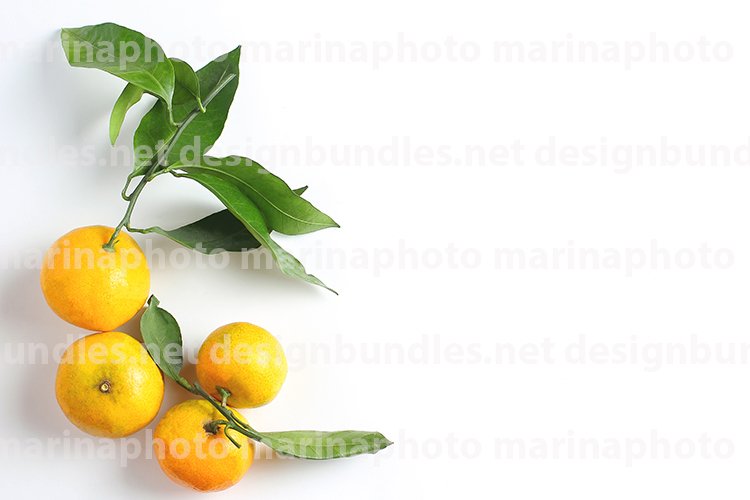 Banner Clipart Image 18