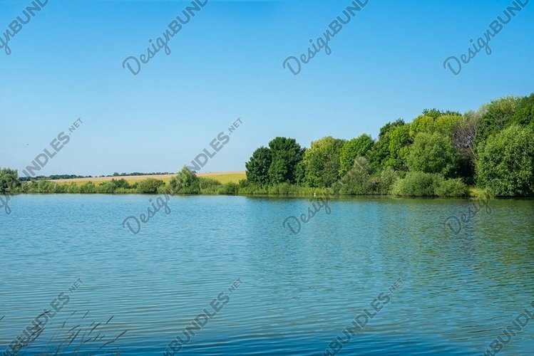 Green Grass Clipart Image 8