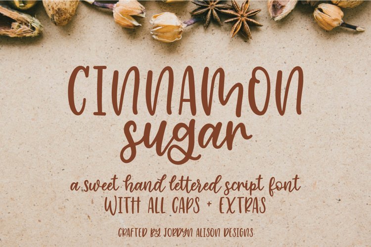 Cinnamon Sugar, Hand Lettered Script Font example image 1