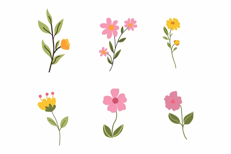 Flower Collection