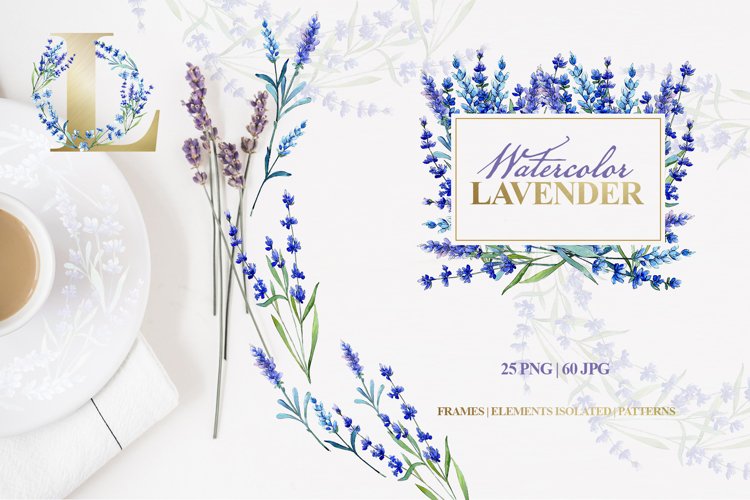Lavender Png Image 24