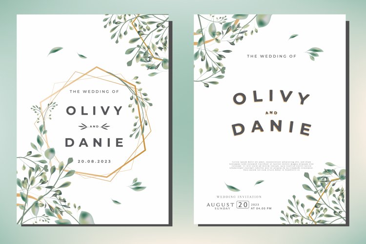 Rose Background Image 16