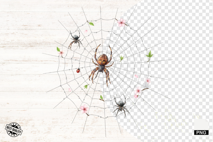 Spider Clipart Image 20