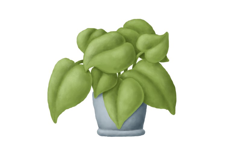 Greenery Clipart Image 14