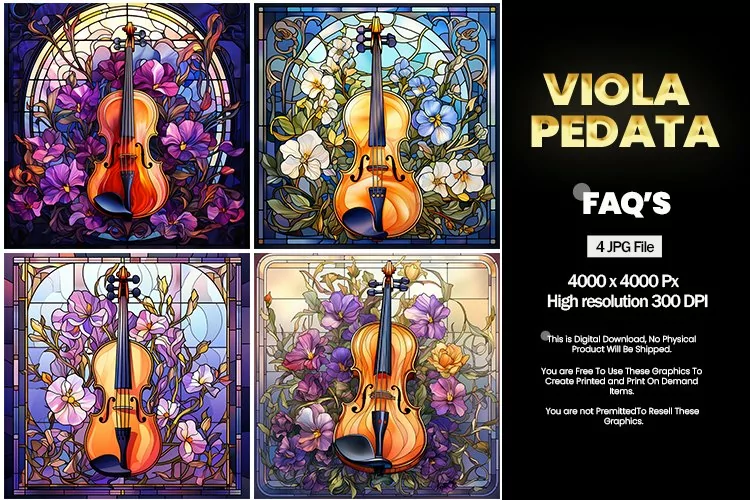 Stained Glass Viola Pedata Square Coaster - 04 Variations