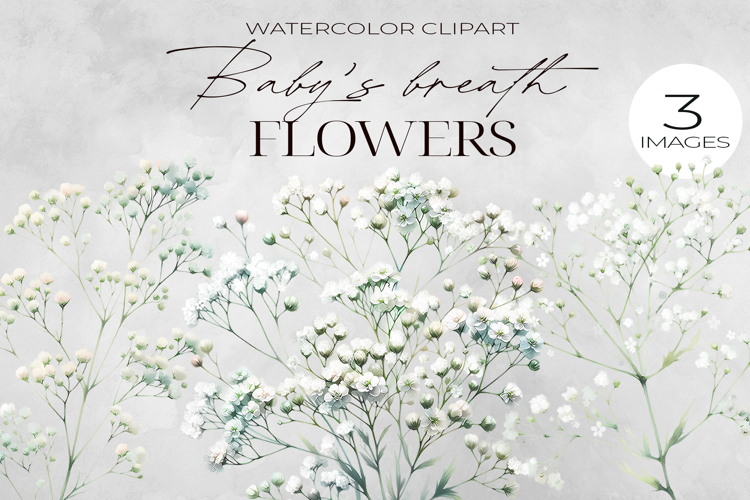 Watercolor Flower Clipart Image 2
