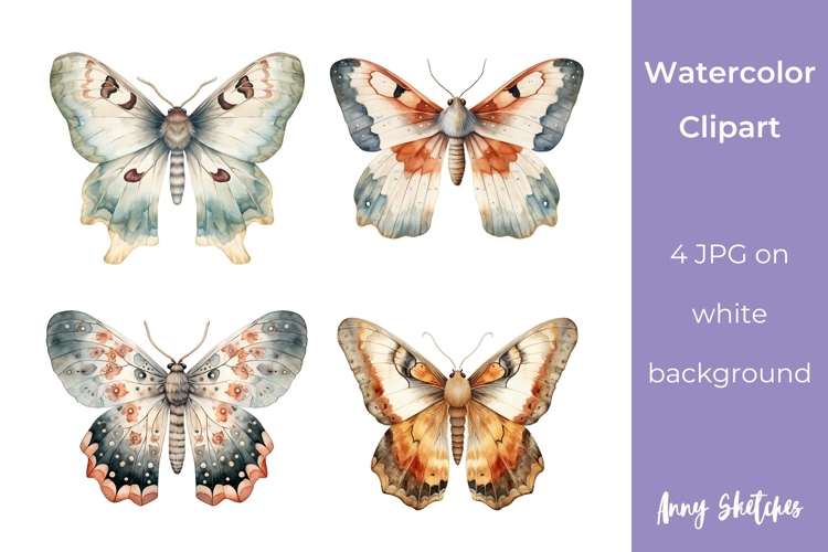 Moth Illustration Image 18