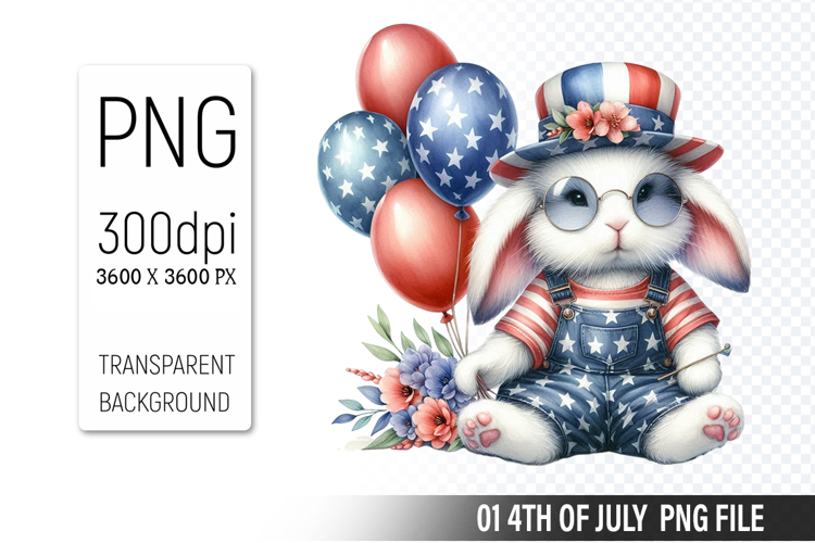 American Flag Png Image 12